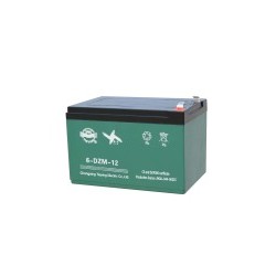 Batteri 12V 12AH (6-DZM-12)