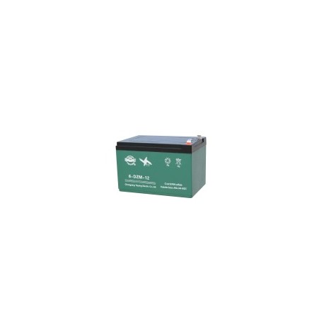Batteri 12V 12AH (6-DZM-12)