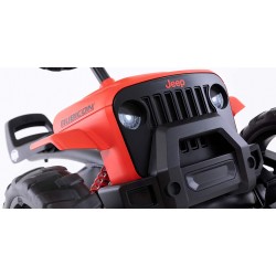 Buzzy Rubicon gokart Berg 2