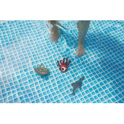 Diving Animals - BS dykkerdyr 2