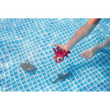 Diving Animals - BS dykkerdyr