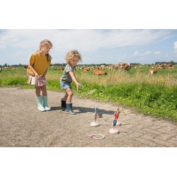 Ring Toss Birds 2