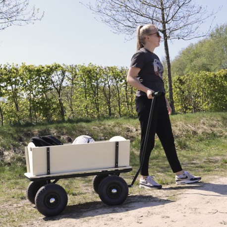 Billy Beach Wagon (sort)