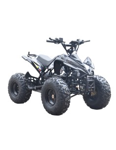 EL ATV Brushless Shaft 800W 48V - sort 2