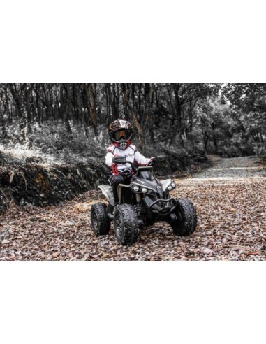 Can-Am Renegade El-ATV til børn 21,6V – 4x200W,...