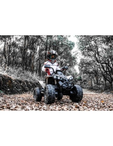 Can-Am Renegade El-ATV til børn 21,6V – 4x200W,...
