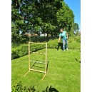 Spin Ladder (Bex) 2