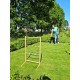 Spin Ladder (Bex) Spin Ladder (Bex)
