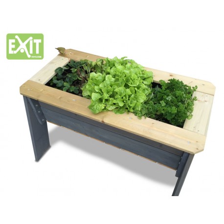 Aksent plantekasse til børn (EXIT)