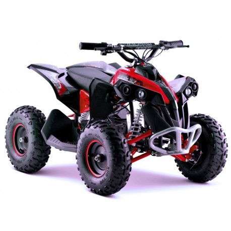 Renegade Brushless 1060W Kardan el-ATV